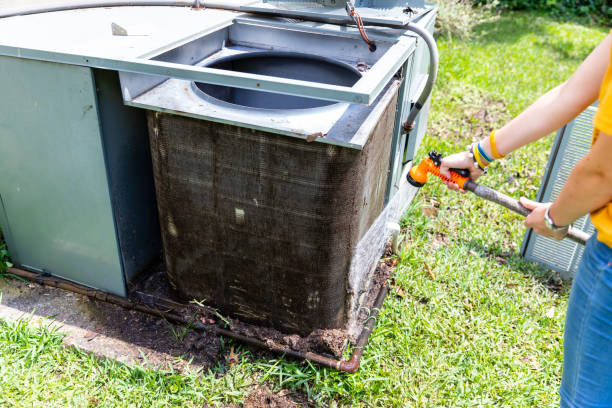 Best Air Vent Cleaning Services  in Holly Hill, FL