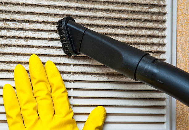 Best Home Air Vent Cleaning  in Holly Hill, FL