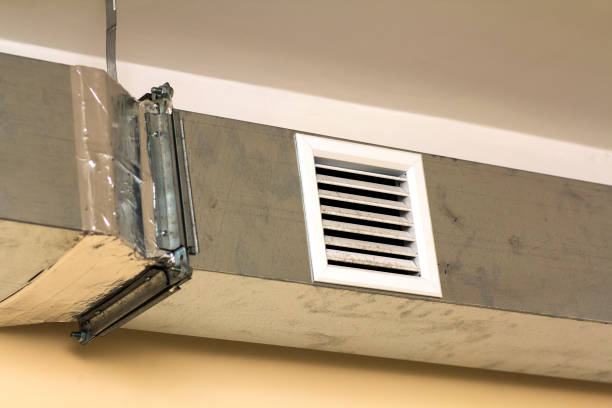 Best Commercial Air Duct Cleaning  in Holly Hill, FL